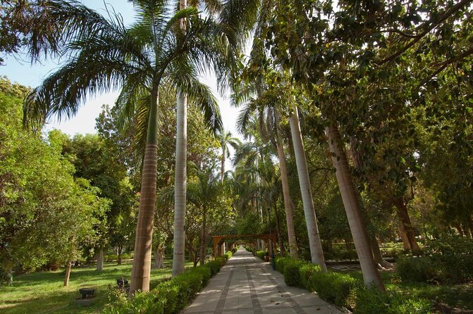 Private 1-Hour Felucca Sailing and Botanical Garden In Aswan - The main weakness: dependable arrangements