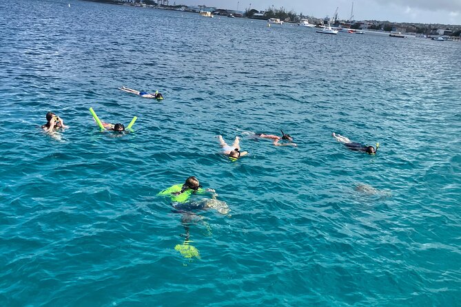 Private catamaran sail & snorkel - A small charter with room to breathe