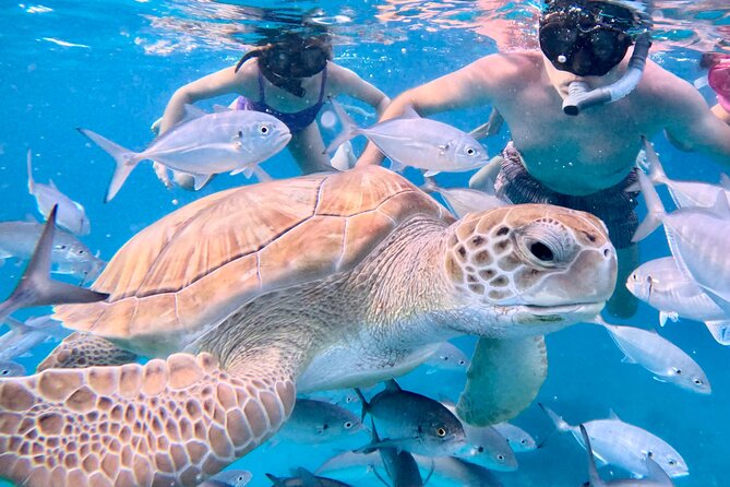 Private catamaran sail & snorkel - Meeting the crew at the beach
