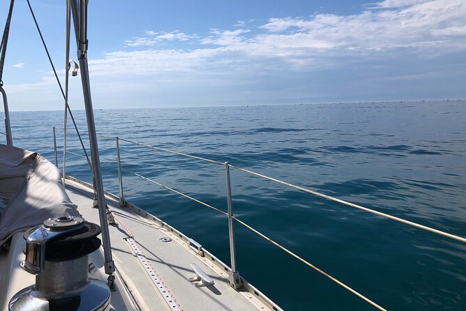 Private Discovery of the Camargue by Sail - Lunch at a Natural Sandbar