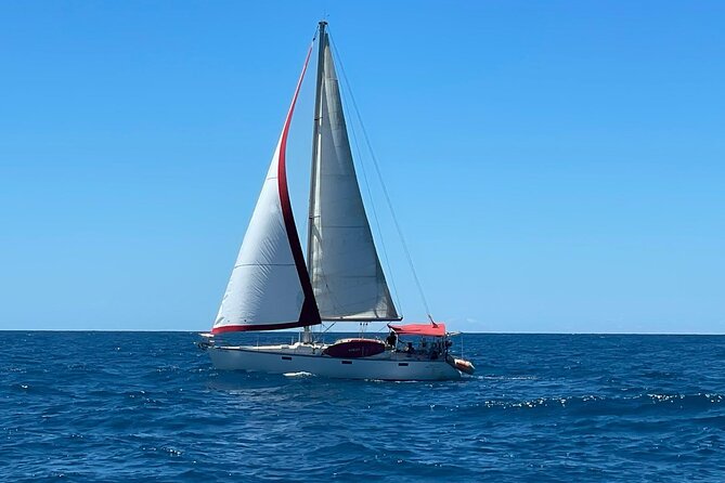 Private full day excursion sailing through Ibiza and Formentera - What Cliffie feels like on the water