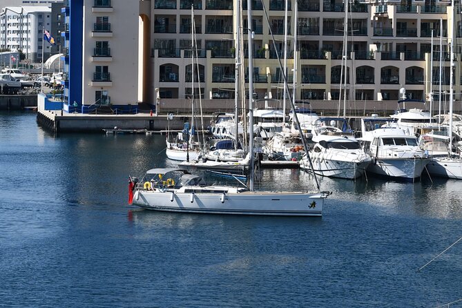Private Full-day Sailing Cruise from Gibraltar by Yacht - Watching for dolphins from the deck