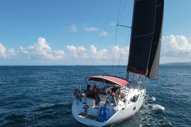 Private Half-Day Sailing and Snorkeling Tour - Swimming, snorkeling, and paddleboarding from the boat