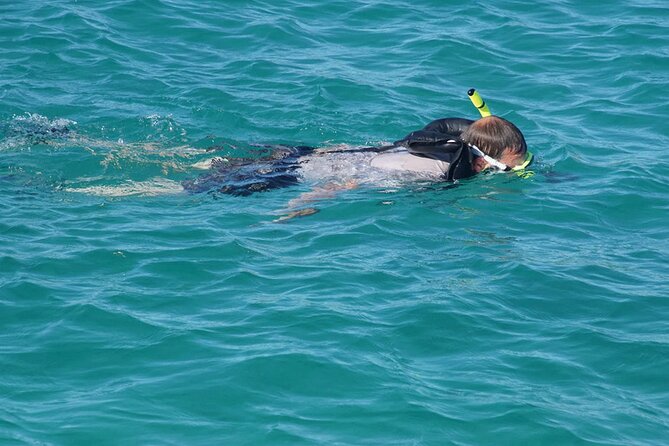 Private Half-Day Sailing and Snorkeling Tour - Timing, weather, and the fine print