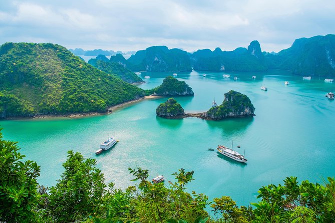 Private Halong Bay Sailing Cruise from Hanoi - Key points to know before booking