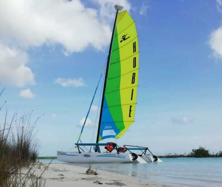 Private Hobie Cat Sailing Tour - Birds Island: listen as well as look