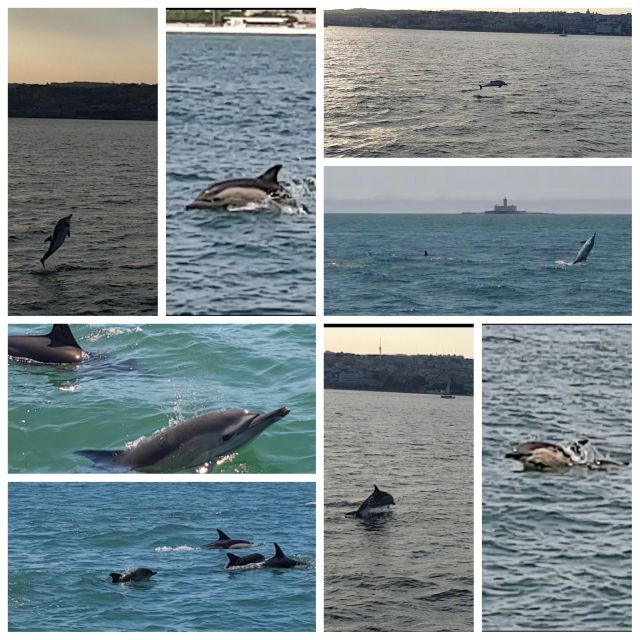 Private Lisbon Sightseeing Sailing Boat Tour with Locals - Why seeing Lisbon from the Tagus matters