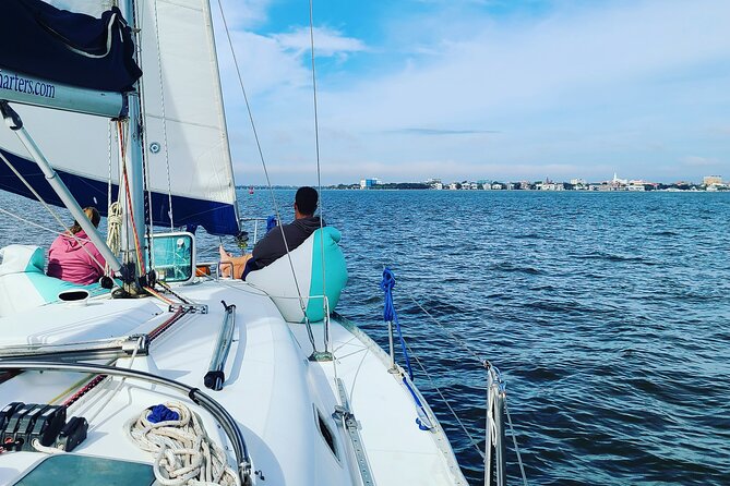 Private Luxury Yacht Charters, BYOB & Dolphins - Dolphins, working ships, and the view beyond downtown