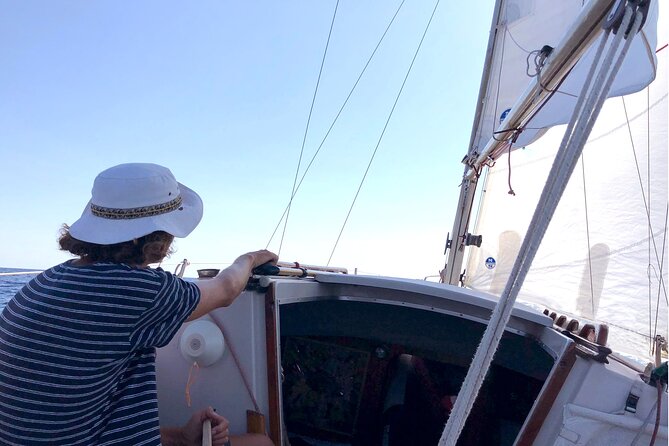 Private sailing excursion & Provencal picnic - Swimming, snorkeling, and the underwater eco-museum