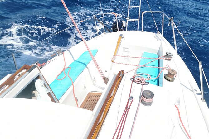 Private sailing excursion & Provencal picnic - A homemade Provençal picnic with anchovy sauce