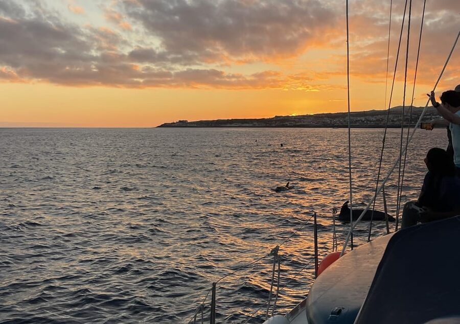 Private Sailing Sunset Tour PDL - Private Group Value at $212