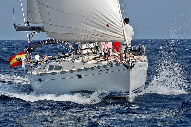 Private Sailing Through The Bay of Palma - Key points to know before booking