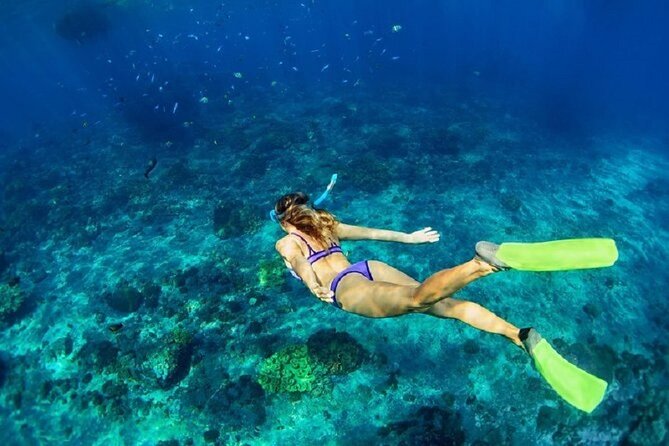 Private Sailing Tour in Rhodes - Timing, weather, and practical planning