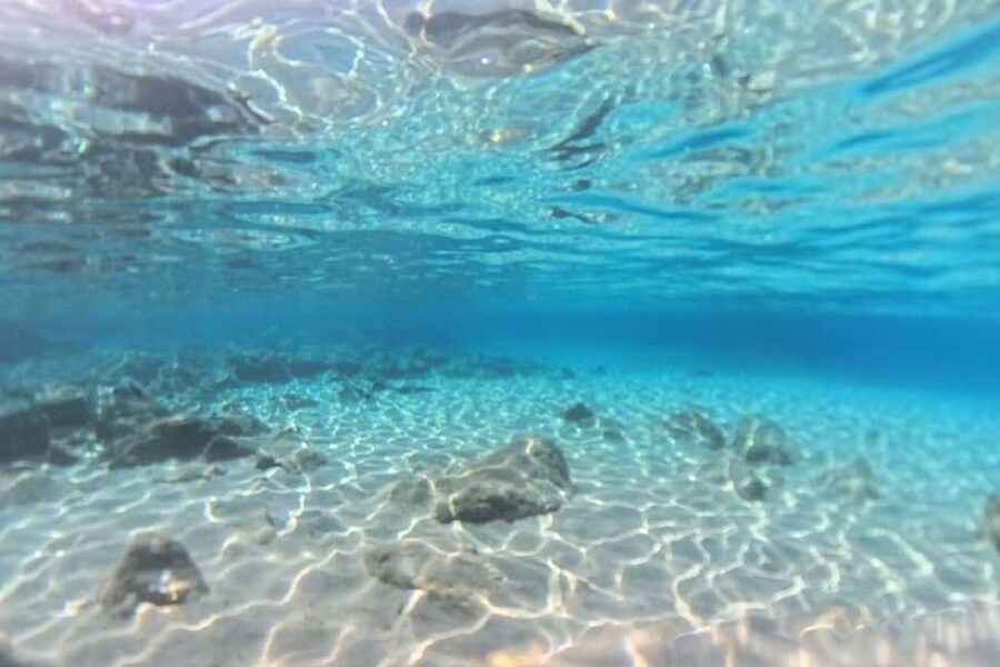Private Sailing Trip from Heraklion to Dia with meal & SUP - Who should book this sailing trip?