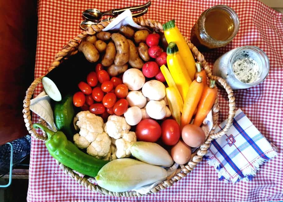 Private sailing trip & Provençal picnic - Learning the Basics of Sailing