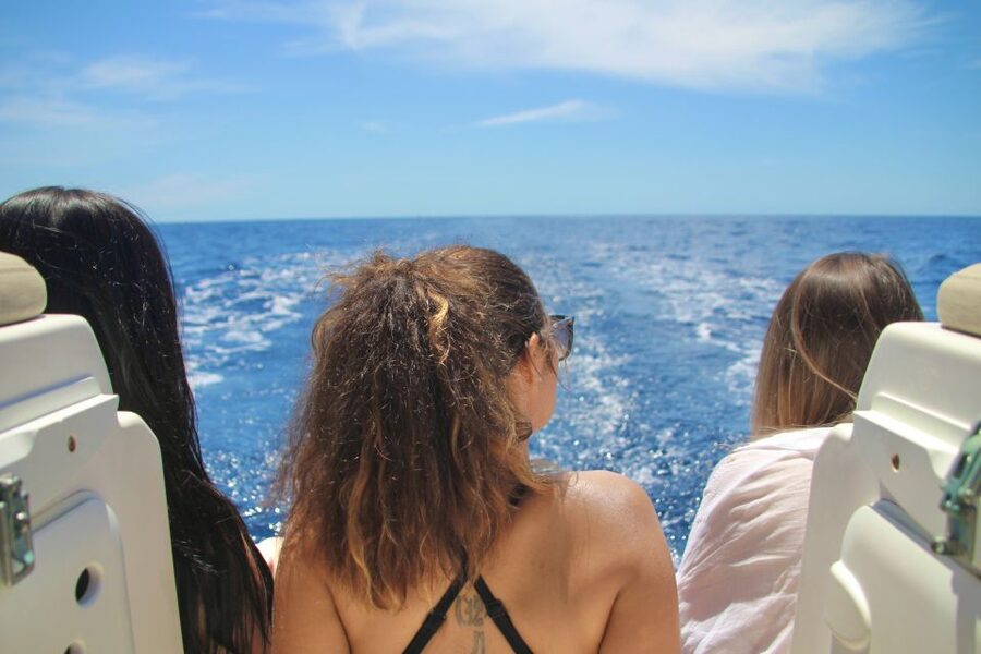 Puerto Colon : Whale & Dolphins Sailing Excursion - Setting out from Puerto Colón