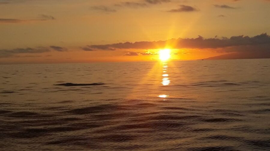 Puerto Colon: Whale-Watching Sailing Tour with Meal & a Swim - Key points to know before sailing