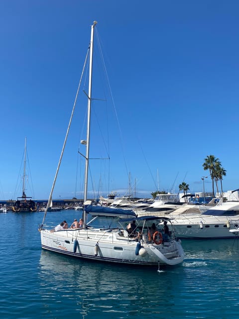 Puerto Colon: Whale-Watching Sailing Tour with Meal & a Swim - Is $68 a fair price?