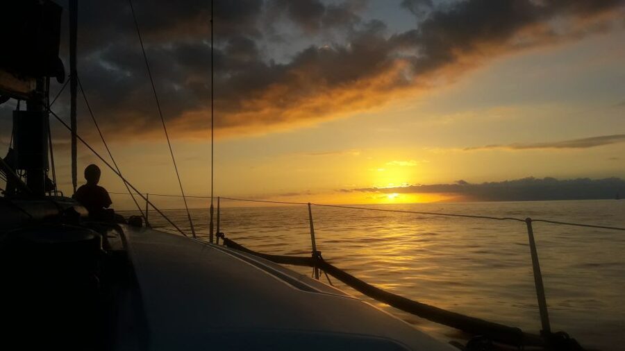 Puerto Colon: Whale-Watching Sailing Tour with Meal & a Swim - Searching the Atlantic for pilot whales and dolphins