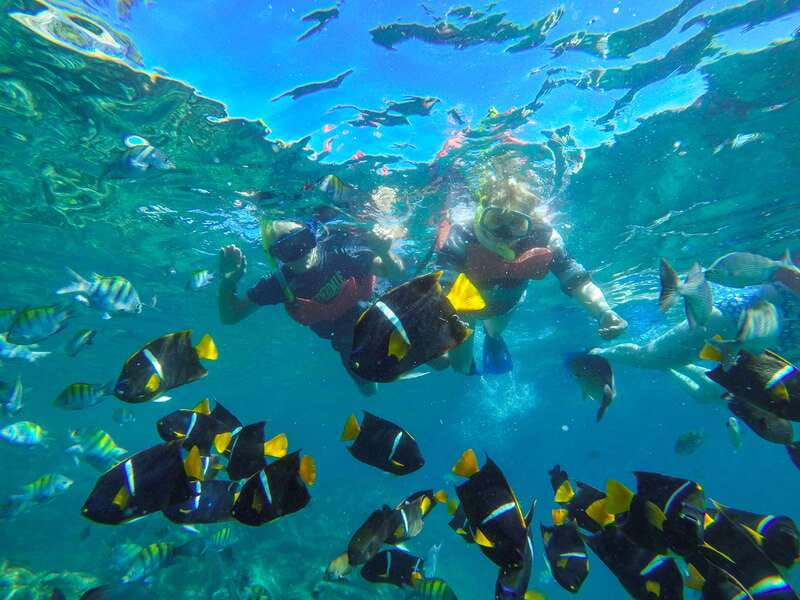 Puerto Vallarta: Luxury Day Sailing Tour of Bay of Banderas - Meeting at Paseo de las Palmas 390A