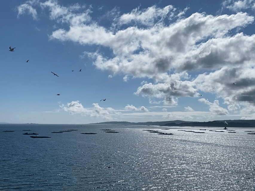 Ría de Arousa: Daytime or Sunset Sailboat Cruise with drinks - The first 20 minutes: settling into the coast