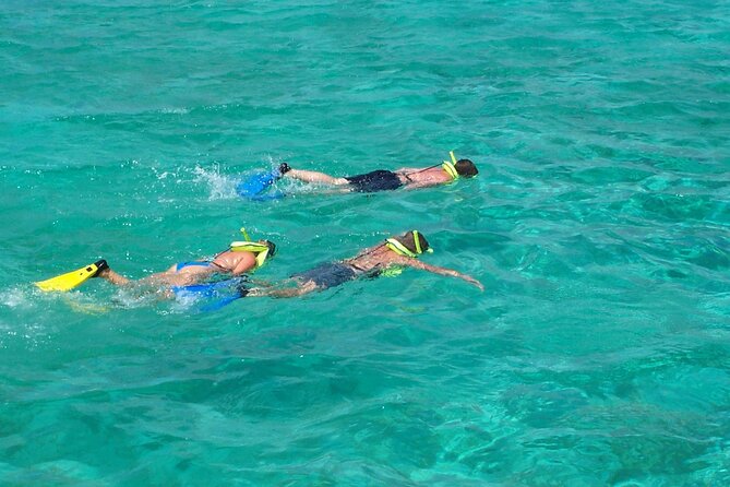 Sail and Snorkel at Cades Reef - Snorkeling at Cades Reef