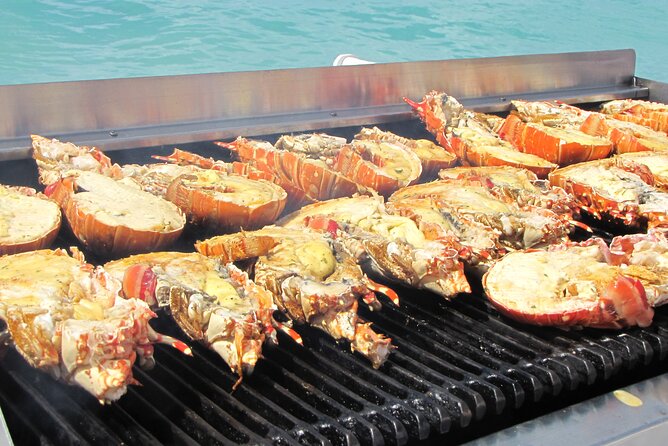 Sail and Snorkel at Cades Reef - Barbecue lunch aboard the catamaran