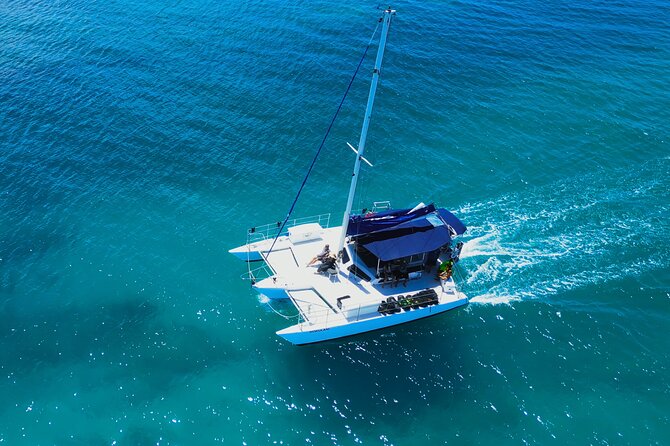 Sail and Turtle Snorkeling Tour in Waikiki - Is $99 a fair price?
