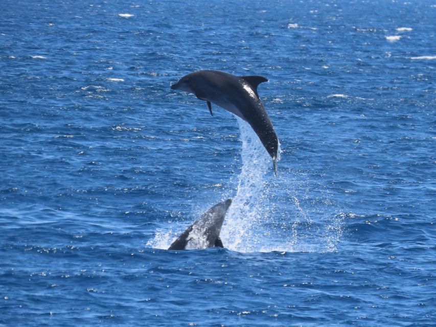 Sail Away in Kos: Unveil 3 Greek Isles’ Secrets! - Who will enjoy this cruise most?