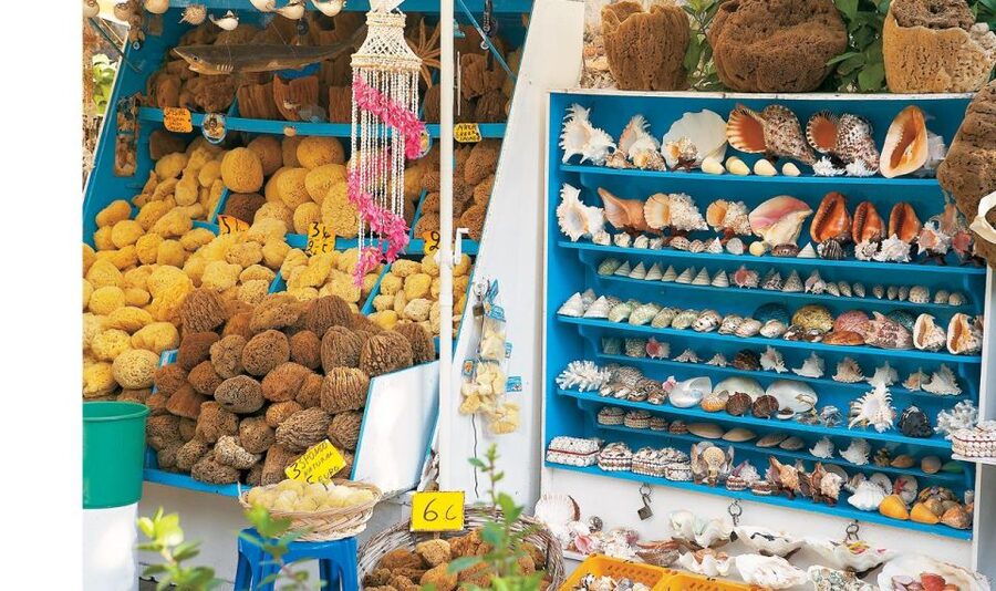 Sail Away in Kos: Unveil 3 Greek Isles’ Secrets! - Dolphin watching across the Dodecanese