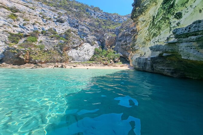 Sail Ibiza Formentera enjoy a swim in paradisiacal coves - Playa de Ses Illetes: swimming with time for snacks