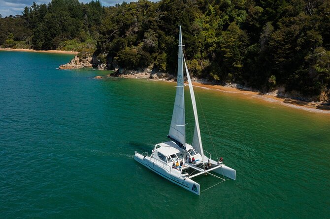 Sail, Seals, and Walk Tour in Abel Tasman - Fur seals and the view of Split Apple Rock