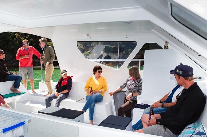 Sail, Seals, and Walk Tour in Abel Tasman - Anchorage Bay: your change from boat to trail