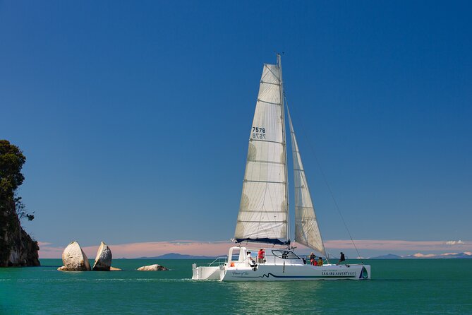 Sail, Seals, and Walk Tour in Abel Tasman - Hiking the Abel Tasman Coastal Track back to Marahau