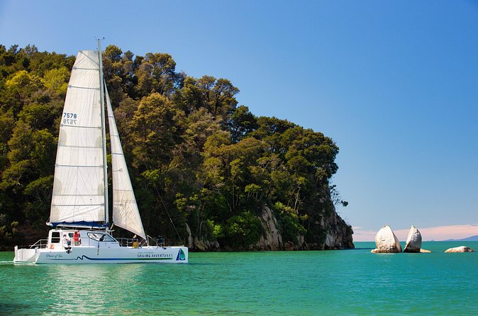 Sail, Seals, and Walk Tour in Abel Tasman - Who will enjoy this day most?