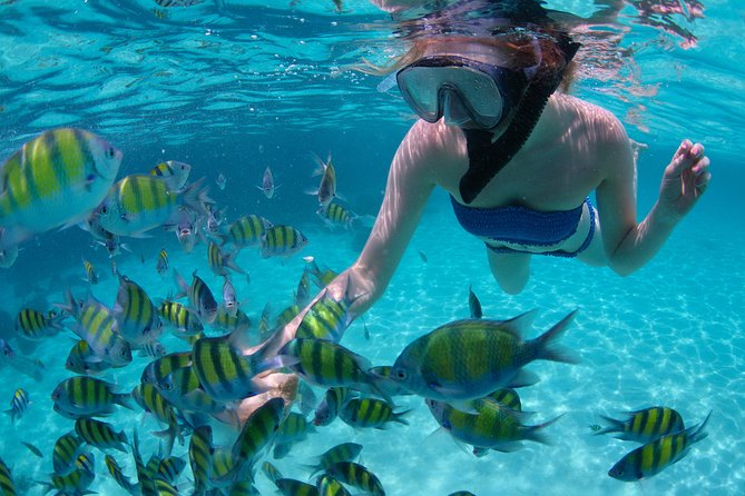 Sail/Snorkel Adventure from Sapphire Marina,STT NO CROWDS~ 6 GUEST MAX - Choosing the snorkel stop near St. John