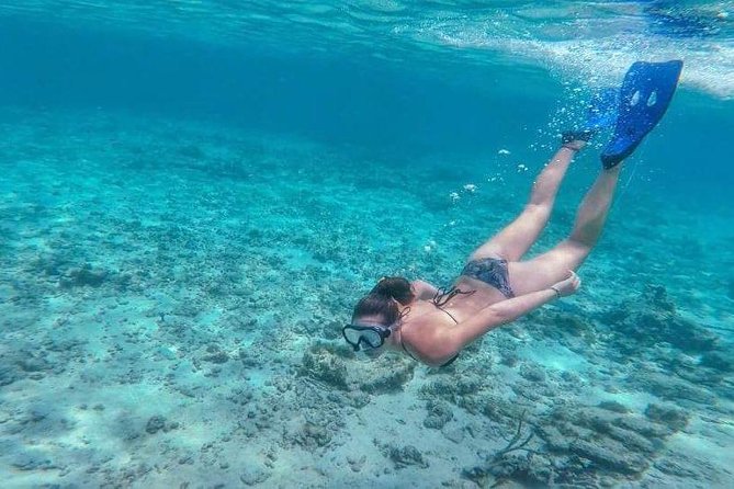 Sail/Snorkel Adventure from Sapphire Marina,STT NO CROWDS~ 6 GUEST MAX - What the hour in the water feels like