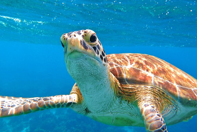 Sail/Snorkel Adventure from Sapphire Marina,STT NO CROWDS~ 6 GUEST MAX - Is $159 a fair price?