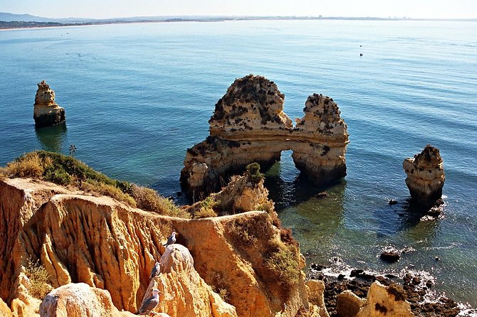 Sail, Swim & Tapas - Swimming, tapas, and time to slow down