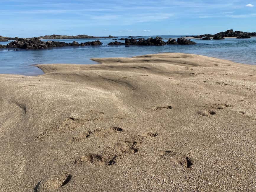 Sail to the heart of the bay. - Key things to know before you book