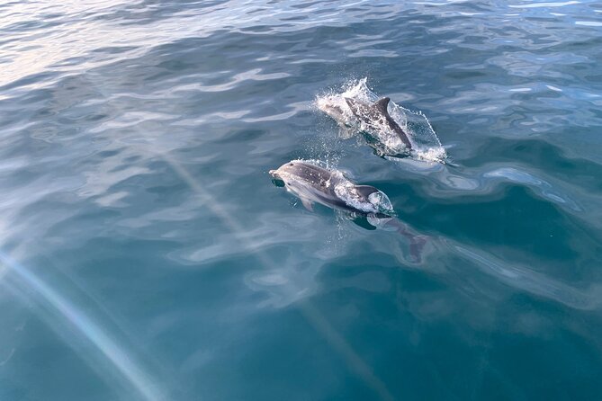Sailing Adventure: Sailing, Dolphins and Relaxation with Drinks - Key things to know before you book