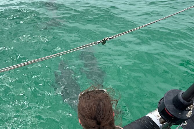 Sailing Adventures 3-Hour Activity in Destin - Crab Island, snorkeling, and a short swim