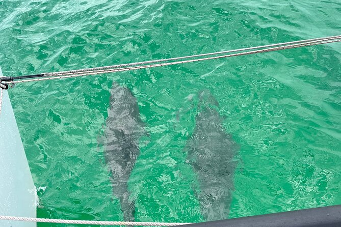Sailing Adventures 3-Hour Activity in Destin - What to pack for three hours