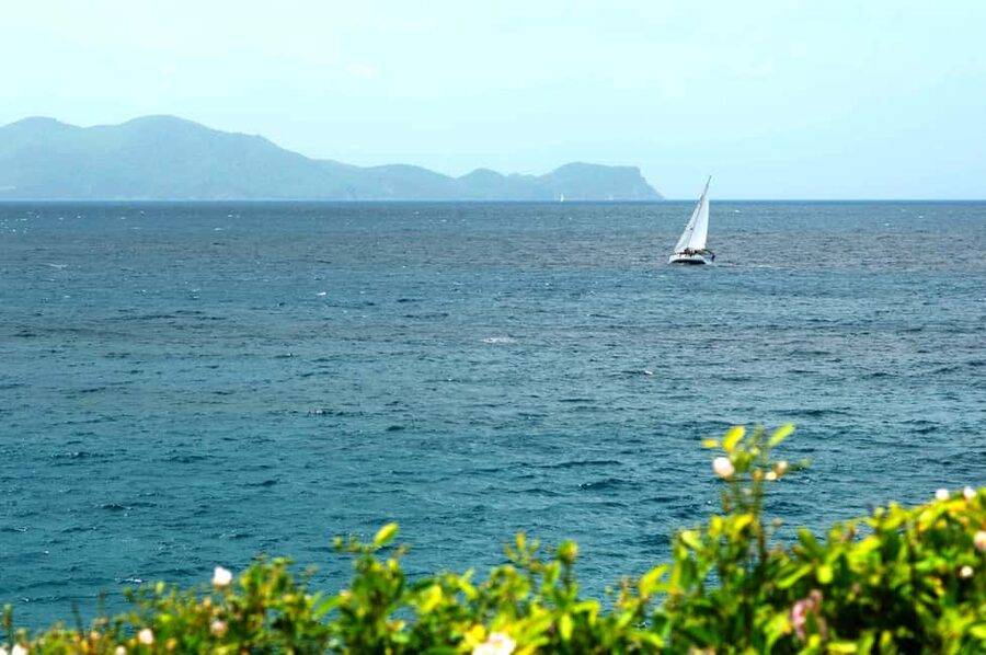 Sailing and Snorkeling Day Tour to Les Saintes - The shipwreck snorkeling stop