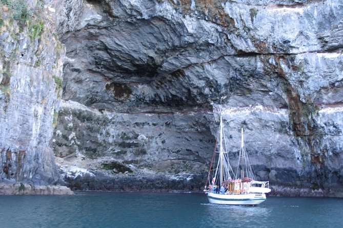 Sailing and Wildlife Tour Akaroa Fox II Sailing - Why Fox II makes the trip special