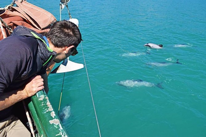 Sailing and Wildlife Tour Akaroa Fox II Sailing - The Akaroa Harbour scenery and Banks Peninsula