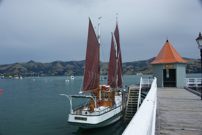 Sailing and Wildlife Tour Akaroa Fox II Sailing - Is $89.98 good value?