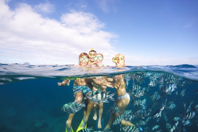 Sailing Catamaran Cruises - Five things to know before you book