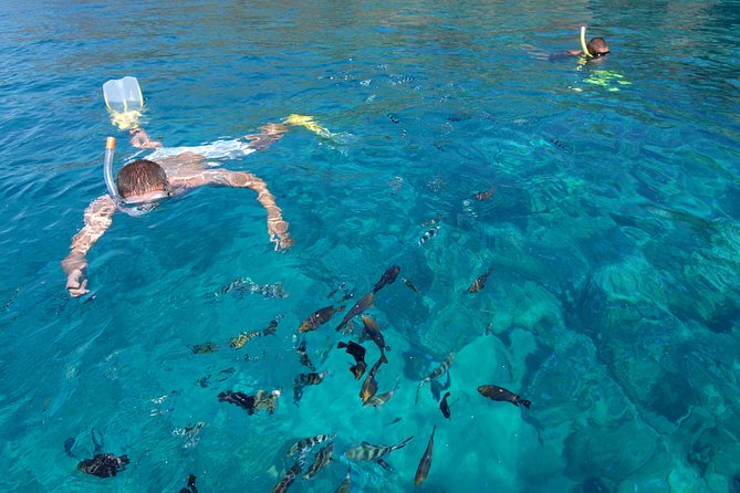 Sailing Catamaran Cruises - Bénitiers Island, beach time, and a change of pace