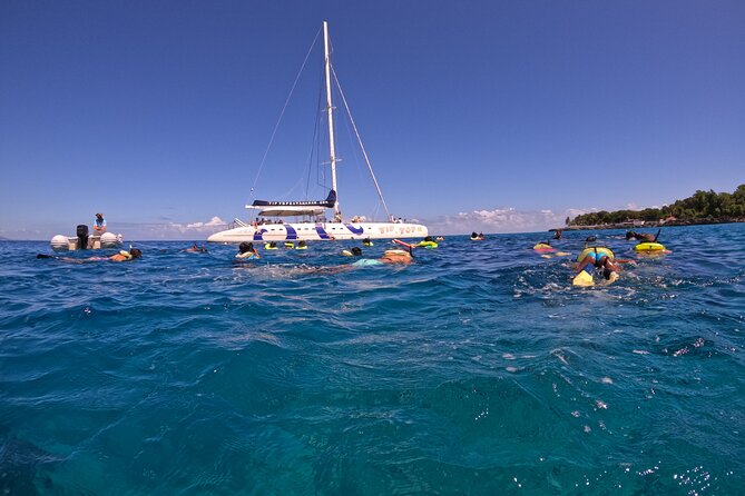 Sailing Catamaran Excursion - Quick Points Before You Book